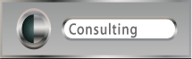 Consulting