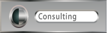 Consulting